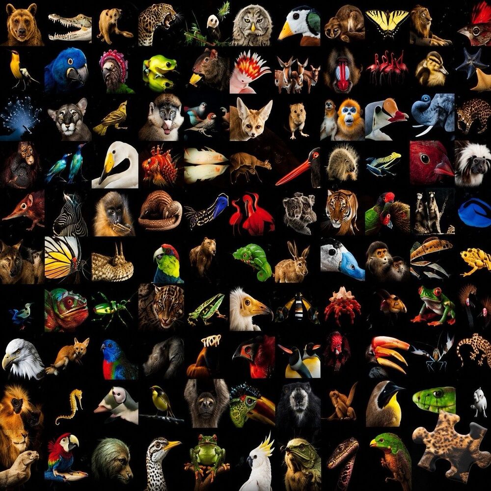 Ravensburger 99 Animals Puzzle 1000 Piece Wildlife Safari Nature Art Collage